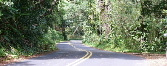 Tantalus_Road_888_355
